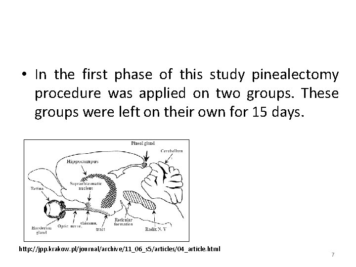  • In the first phase of this study pinealectomy procedure was applied on