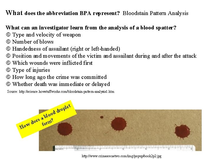 What does the abbreviation BPA represent? Bloodstain Pattern Analysis What can an investigator learn