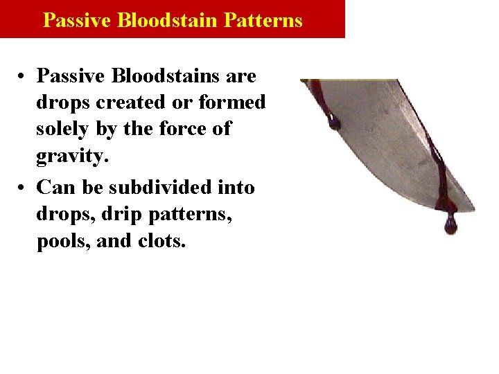 Passive Bloodstain Patterns • Passive Bloodstains are drops created or formed solely by the