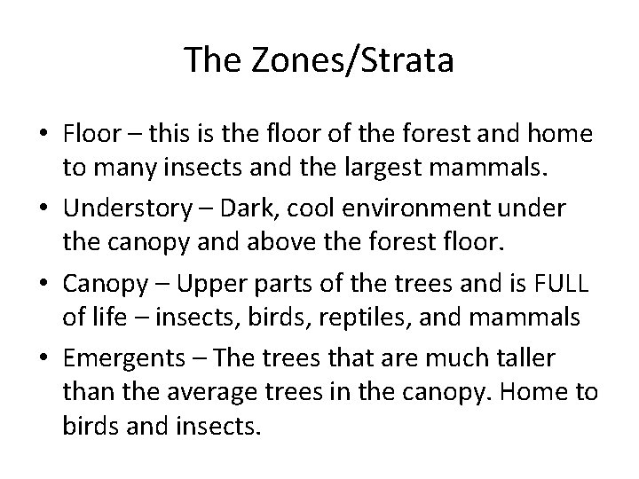 The Zones/Strata • Floor – this is the floor of the forest and home