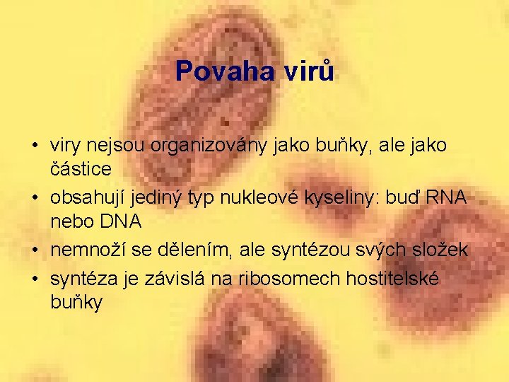 Povaha virů • viry nejsou organizovány jako buňky, ale jako částice • obsahují jediný