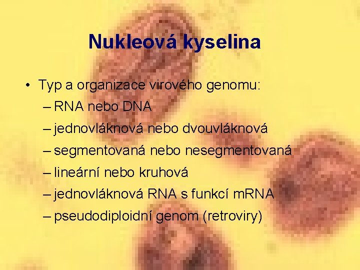 Nukleová kyselina • Typ a organizace virového genomu: – RNA nebo DNA – jednovláknová