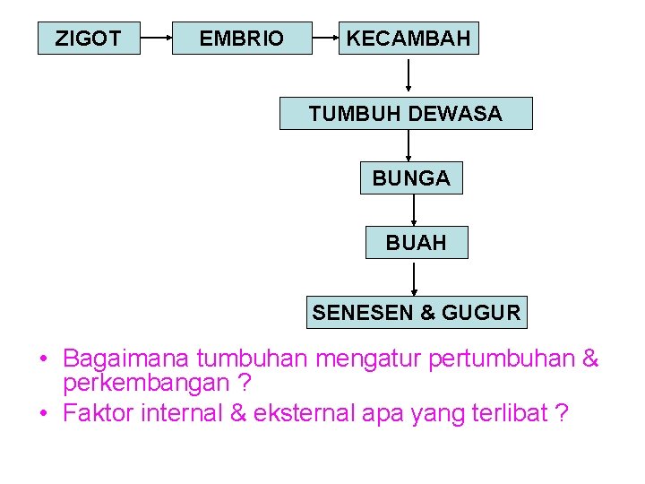 ZIGOT EMBRIO KECAMBAH TUMBUH DEWASA BUNGA BUAH SENESEN & GUGUR • Bagaimana tumbuhan mengatur