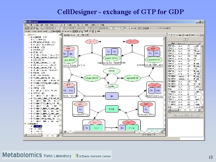 Cell. Designer - exchange of GTP for GDP 10 