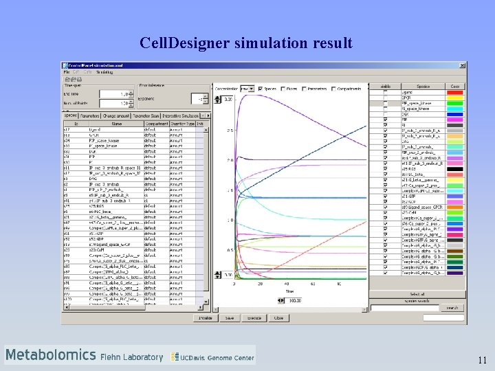 Cell. Designer simulation result 11 