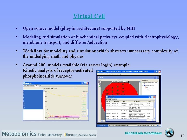Virtual Cell • Open source model (plug-in architecture) supported by NIH • Modeling and