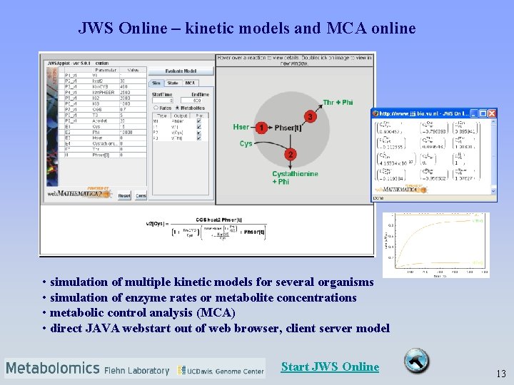 JWS Online – kinetic models and MCA online • simulation of multiple kinetic models