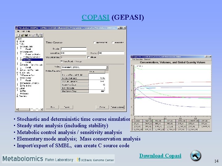 COPASI (GEPASI) • Stochastic and deterministic time course simulation • Steady state analysis (including
