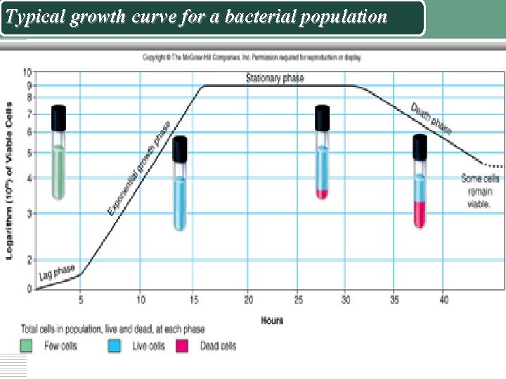 Typical growth curve for a bacterial population 