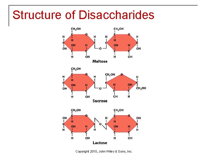 Structure of Disaccharides Copyright 2010, John Wiley & Sons, Inc. 