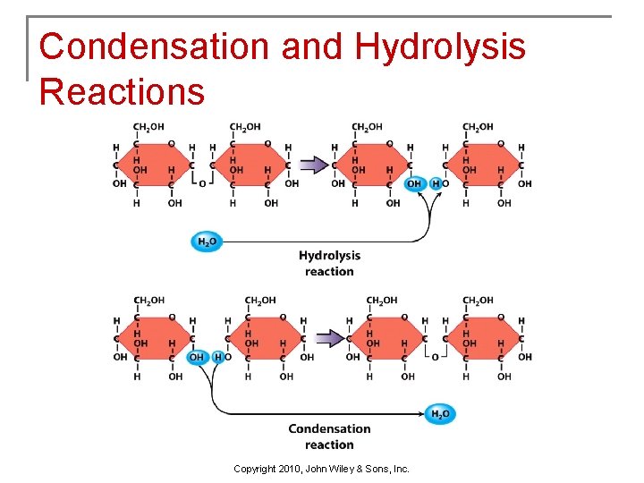 Condensation and Hydrolysis Reactions Copyright 2010, John Wiley & Sons, Inc. 