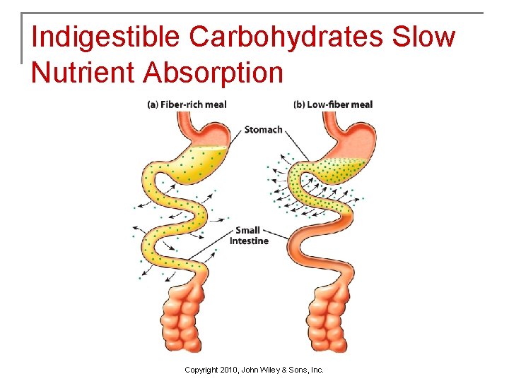 Indigestible Carbohydrates Slow Nutrient Absorption Copyright 2010, John Wiley & Sons, Inc. 