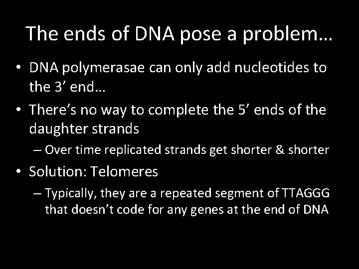 The ends of DNA pose a problem… • DNA polymerasae can only add nucleotides The ends of DNA pose a problem… • DNA polymerasae can only add nucleotides