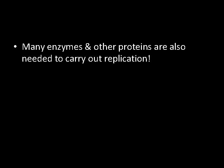 • Many enzymes & other proteins are also needed to carry out replication! • Many enzymes & other proteins are also needed to carry out replication!