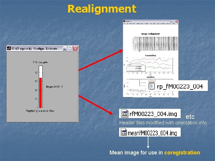 Realignment etc Header files modified with orientation info Mean image for use in coregistration