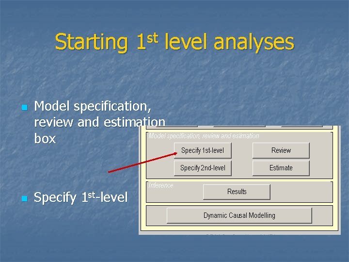 Starting 1 st level analyses n n Model specification, review and estimation box Specify