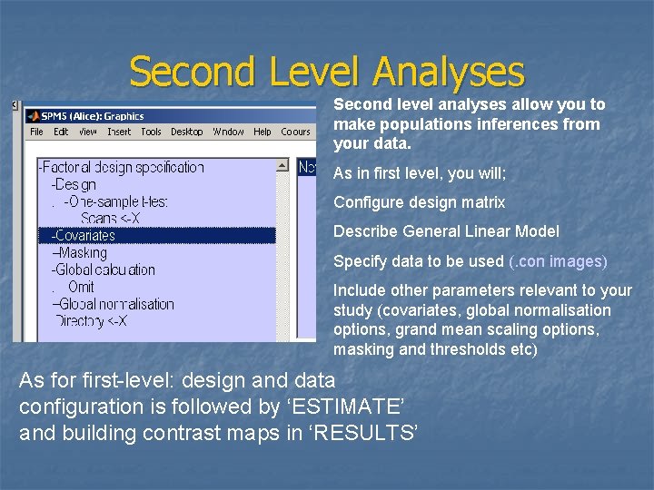 Second Level Analyses Second level analyses allow you to make populations inferences from your