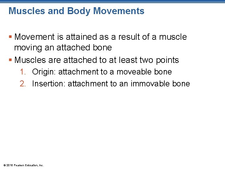 Muscles and Body Movements § Movement is attained as a result of a muscle