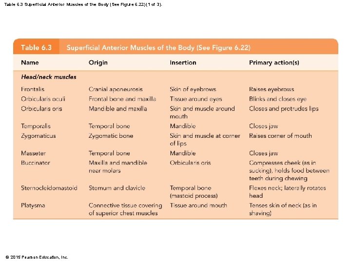 Table 6. 3 Superficial Anterior Muscles of the Body (See Figure 6. 22) (1