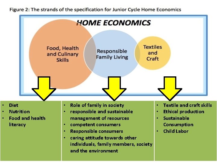  • Diet • Nutrition • Food and health literacy • Role of family