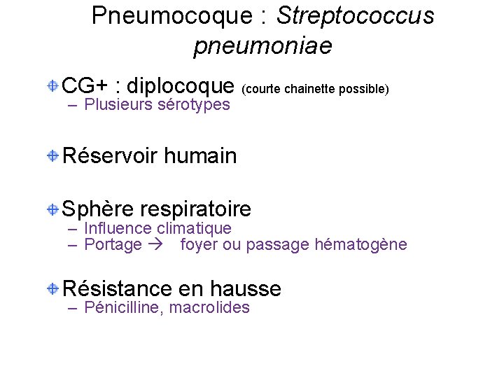 Pneumocoque : Streptococcus pneumoniae CG+ : diplocoque (courte chainette possible) – Plusieurs sérotypes Réservoir