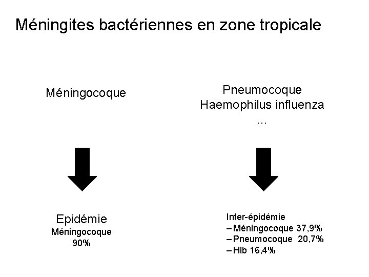 Méningites bactériennes en zone tropicale Méningocoque Epidémie Méningocoque 90% Pneumocoque Haemophilus influenza … Inter-épidémie