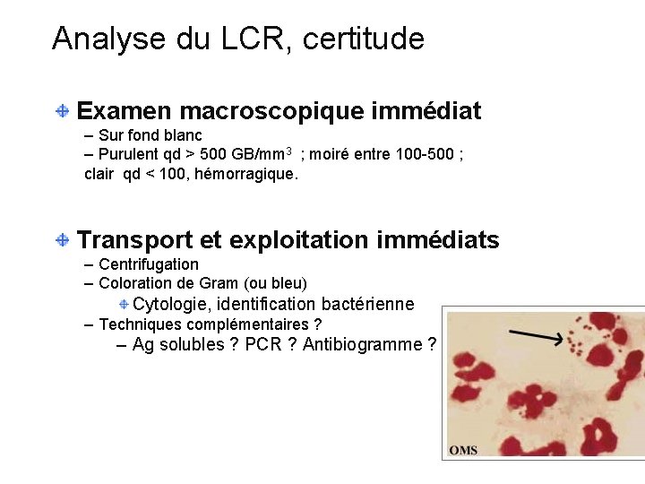 Analyse du LCR, certitude Examen macroscopique immédiat – Sur fond blanc – Purulent qd
