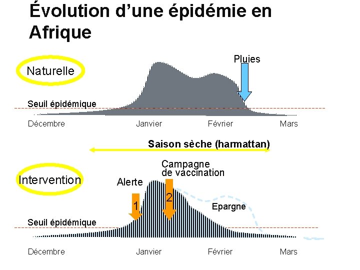 Évolution d’une épidémie en Afrique Pluies Naturelle Seuil épidémique Décembre Janvier Février Mars Saison