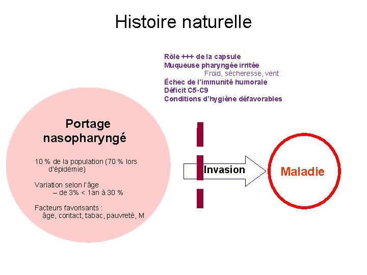 Histoire naturelle Rôle +++ de la capsule Muqueuse pharyngée irritée Froid, sécheresse, vent Échec