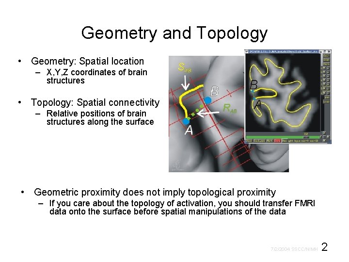 Geometry and Topology • Geometry: Spatial location – X, Y, Z coordinates of brain