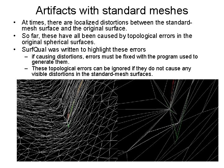 Artifacts with standard meshes • At times, there are localized distortions between the standardmesh