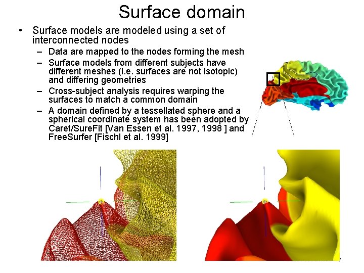 Surface domain • Surface models are modeled using a set of interconnected nodes –