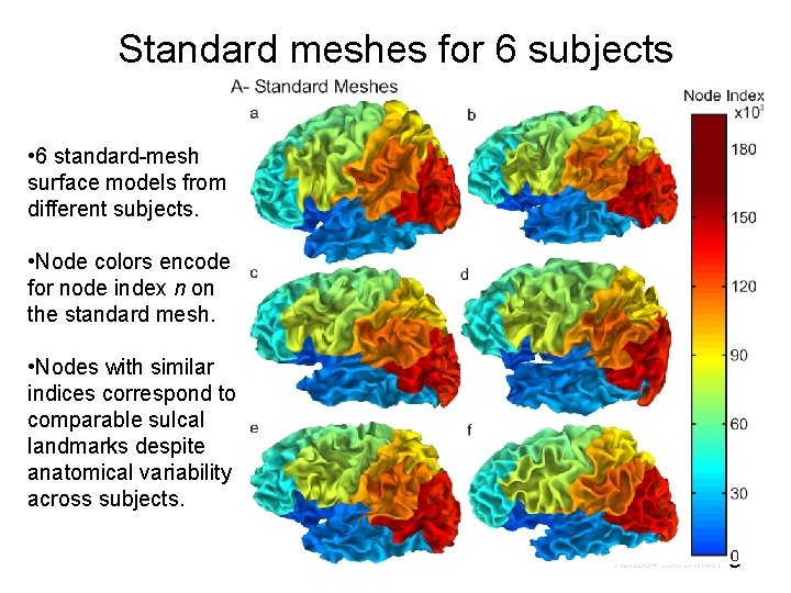 Standard meshes for 6 subjects • 6 standard-mesh surface models from different subjects. •