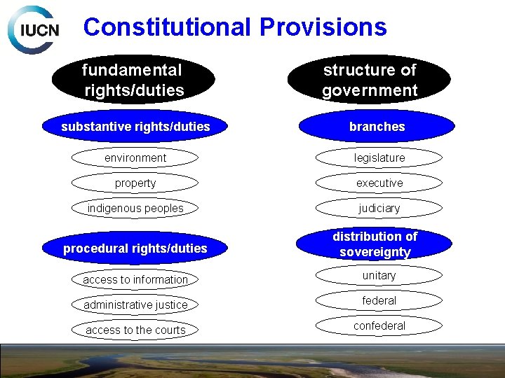 Constitutional Provisions fundamental rights/duties structure of government substantive rights/duties branches environment legislature property executive