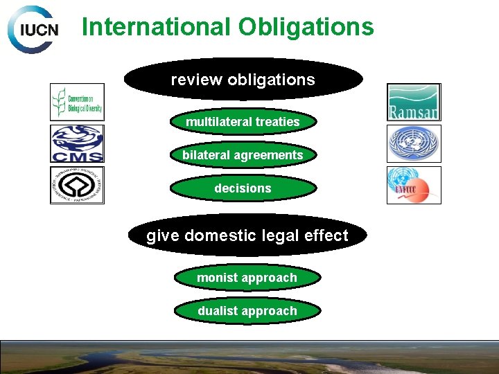 International Obligations review obligations multilateral treaties bilateral agreements decisions give domestic legal effect monist