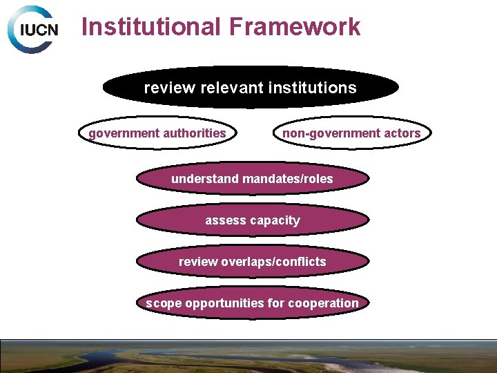 Institutional Framework review relevant institutions government authorities non-government actors understand mandates/roles assess capacity review