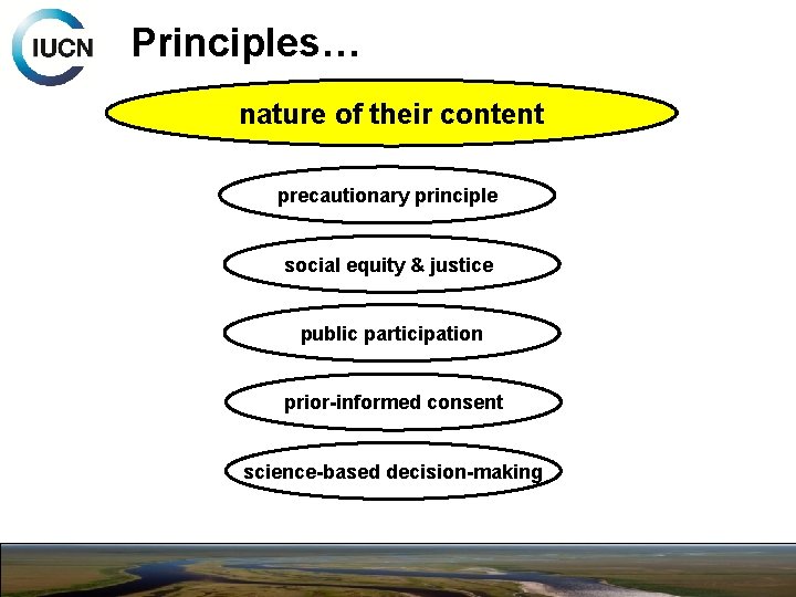 Principles… nature of their content precautionary principle social equity & justice public participation prior-informed