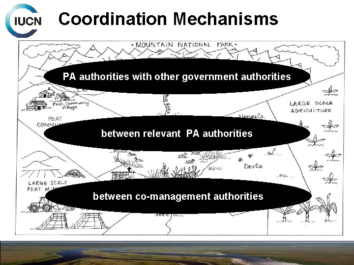 Coordination Mechanisms PA authorities with other government authorities between relevant PA authorities between co-management