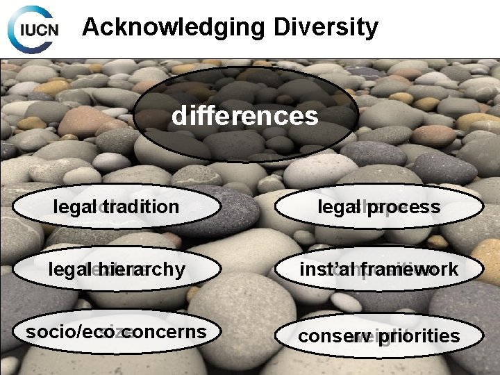 Acknowledging Diversity differences legal colour tradition legal shape process legaltexture hierarchy inst’al composition framework