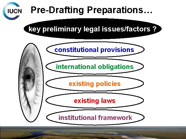 Pre-Drafting Preparations… key preliminarywhat? legal issues/factors ? constitutional provisions international obligations existing policies existing