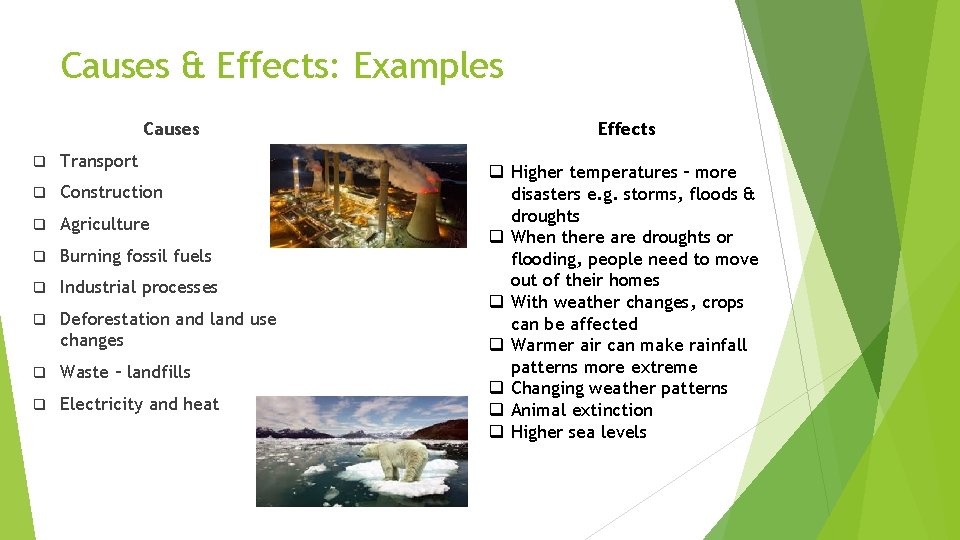 Causes & Effects: Examples Causes q Transport q Construction q Agriculture q Burning fossil