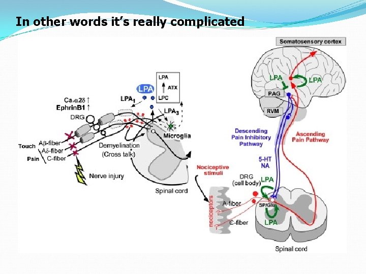 In other words it’s really complicated 