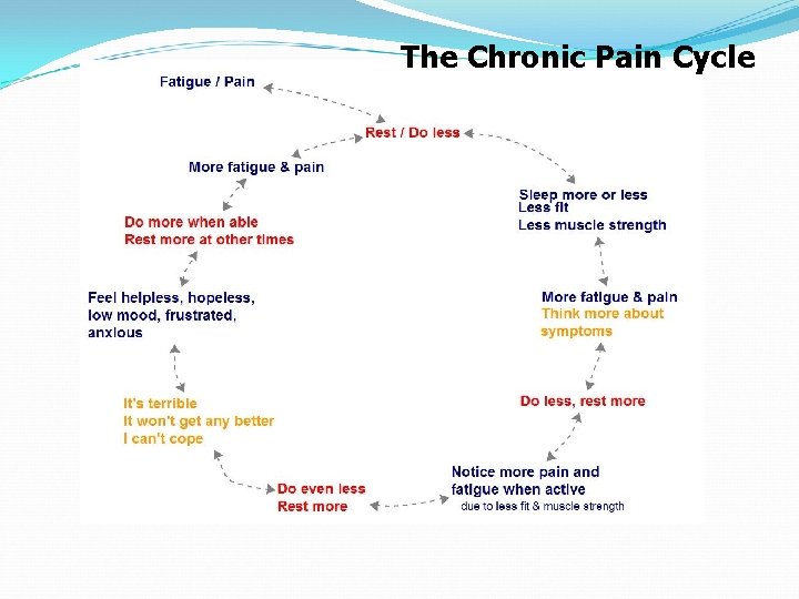 The Chronic Pain Cycle 
