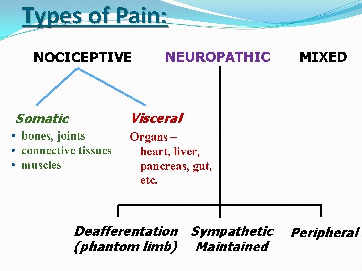 Types of Pain: NOCICEPTIVE NEUROPATHIC MIXED Visceral Somatic • bones, joints • connective tissues