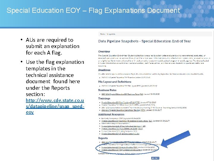 Special Education EOY – Flag Explanations Document • AUs are required to submit an