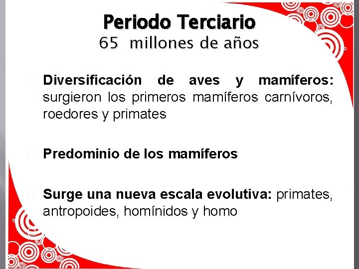 Periodo Terciario 65 millones de años � Diversificación de aves y mamíferos: surgieron los