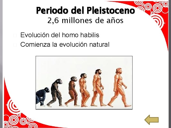 Periodo del Pleistoceno 2, 6 millones de años � � Evolución del homo habilis