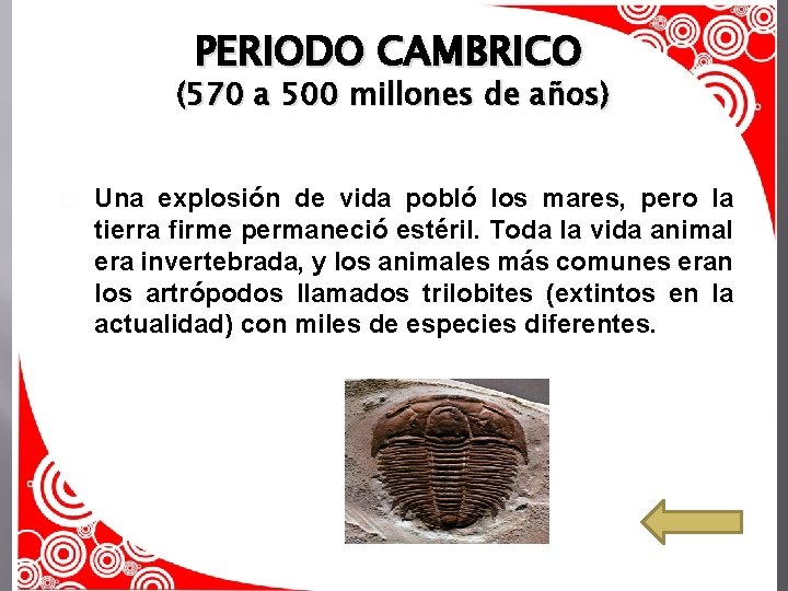 PERIODO CAMBRICO (570 a 500 millones de años) � Una explosión de vida pobló