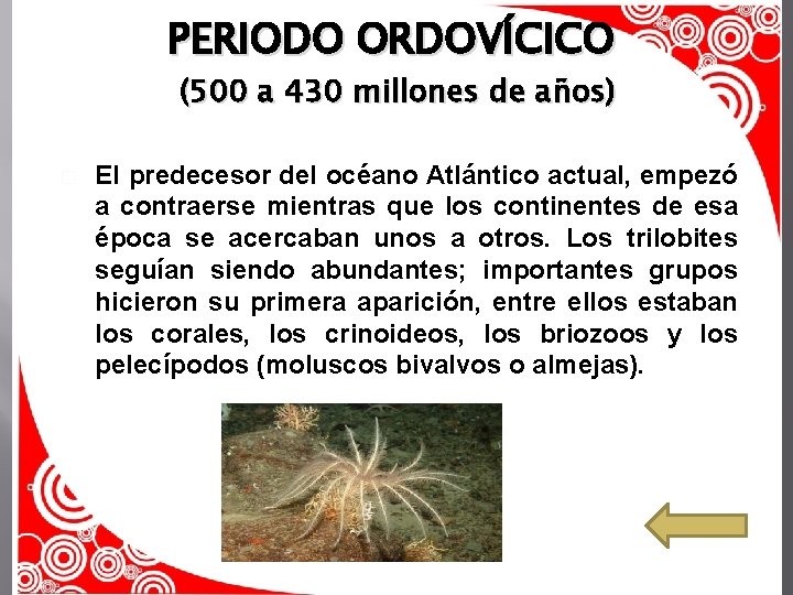 PERIODO ORDOVÍCICO (500 a 430 millones de años) � El predecesor del océano Atlántico