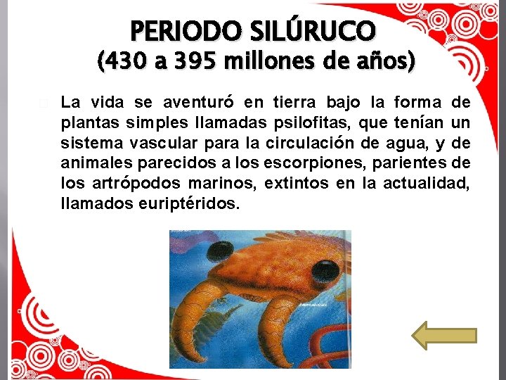 PERIODO SILÚRUCO (430 a 395 millones de años) � La vida se aventuró en